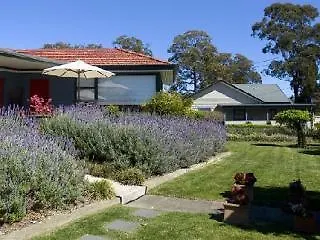 Hotel Dolphin Sands Bed Breakfast Byron Bay