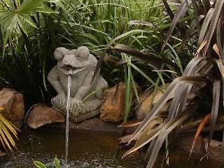 Dolphin Sands Bed Breakfast Byron Bay Hotel