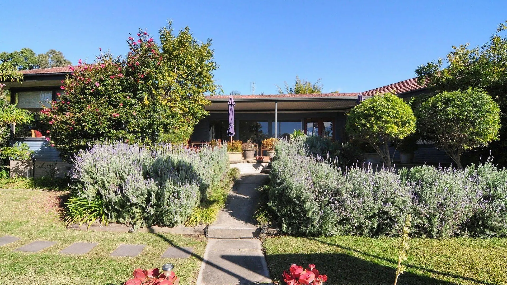 Dolphin Sands Bed Breakfast Byron Bay Australia